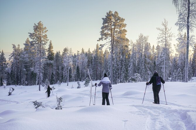 Backcountry Ski Adventure from Rovaniemi - The value of a $127.25 outing