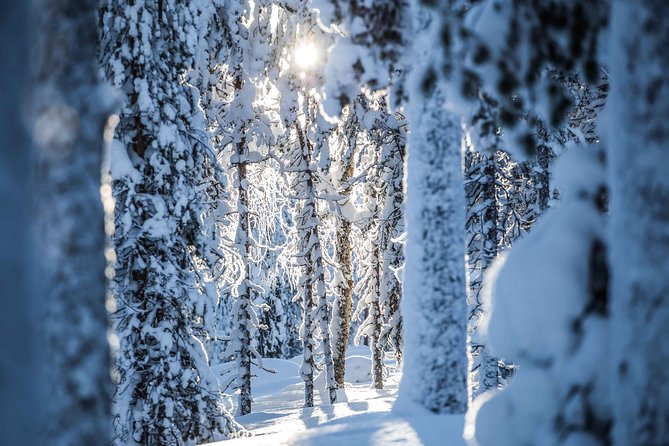 Backcountry skiing adventure - Photography is part of the reason to go