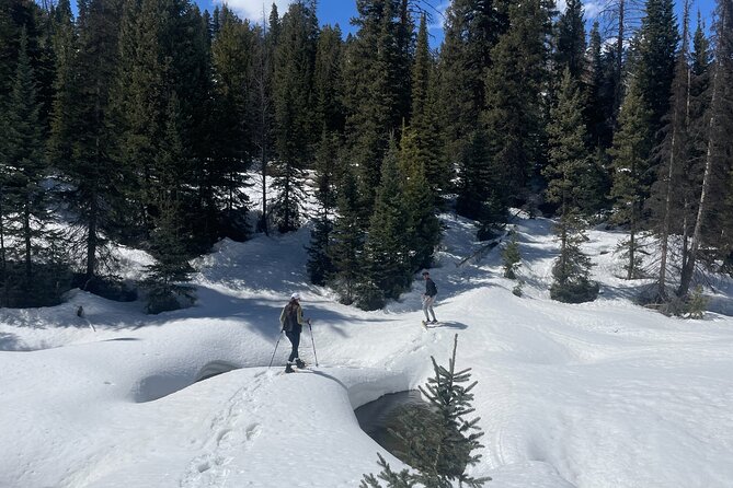 Backcountry snowshoeing in pristine Utah mountains - Snowshoes, poles, and a route built around you
