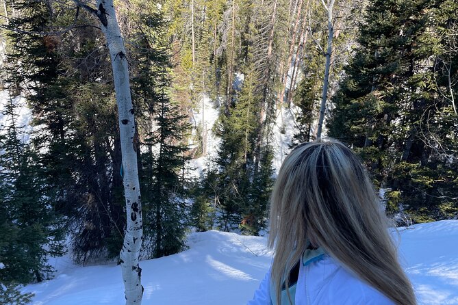 Backcountry snowshoeing in pristine Utah mountains - Why the $85 price can be good value