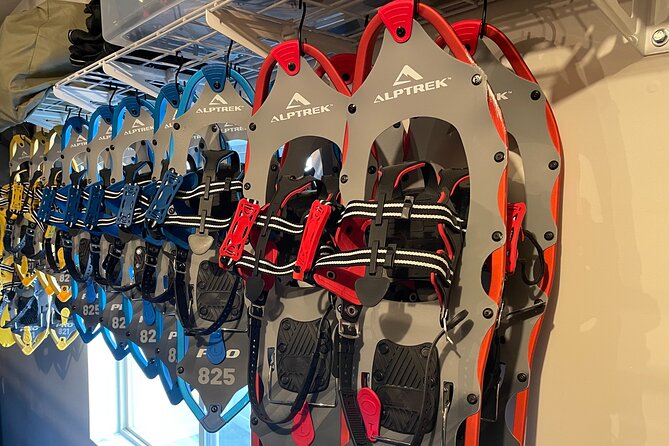 Backcountry snowshoeing in pristine Utah mountains - Should you book the backcountry snowshoe outing?