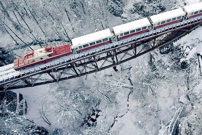 Bakuriani ski resort and the legendary Borjomi (Group Tour) - Borjomi Central Park and the Kukushka railway