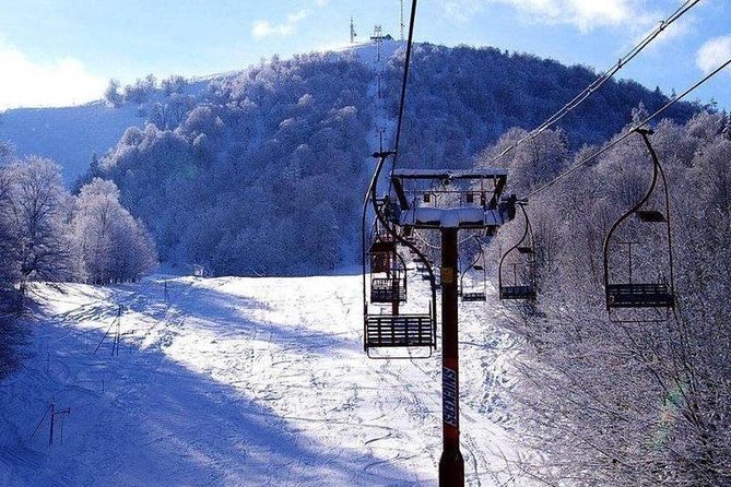 Bakuriani ski resort and the legendary Borjomi (Group Tour) - Returning to Borjomi for mineral water and a park walk