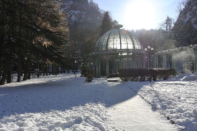 Bakuriani ski resort and the legendary Borjomi (Group Tour) - Is $55 good value?