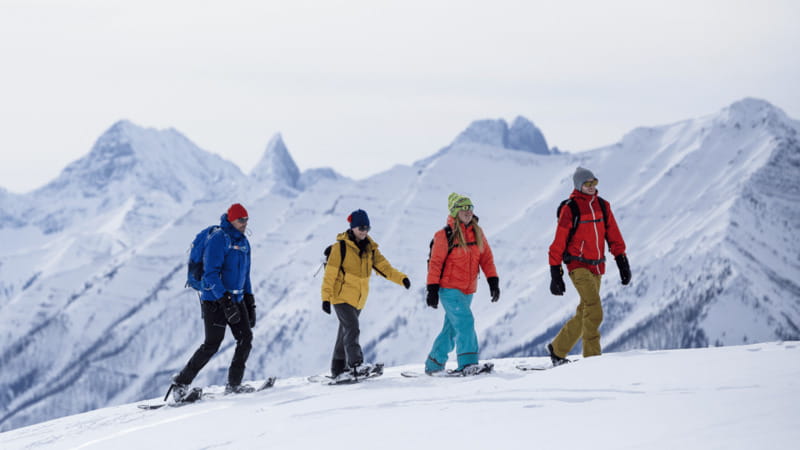 Banff National Park: Sunshine Meadows Snowshoeing Experience - Gear, warmth, and what you must bring