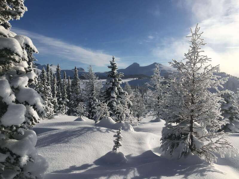 Banff National Park: Sunshine Meadows Snowshoeing Experience - Is $102 a fair price?