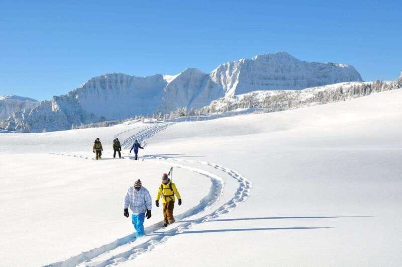 Banff National Park: Sunshine Meadows Snowshoeing Experience - Who will enjoy this most