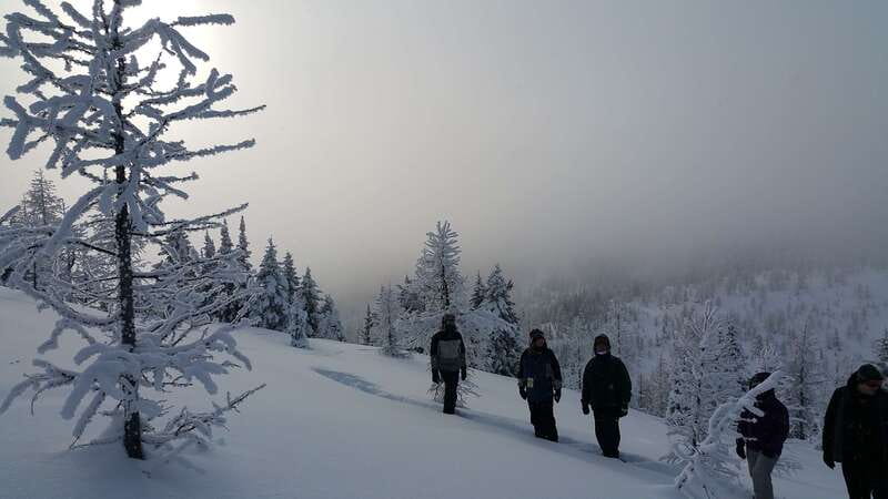 Banff National Park: Sunshine Meadows Snowshoeing Experience - What Sunshine Meadows feels like in winter
