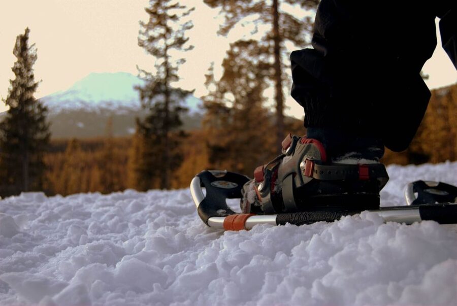 Bend: Half-Day Snowshoe Tour in the Cascade Mountain Range - Four hours in the winter forest near Bend