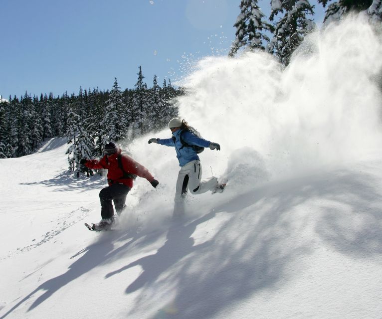 Bend: Half-Day Snowshoe Tour in the Cascade Mountain Range - Snow-laden trees, tracks, and a quieter kind of sightseeing