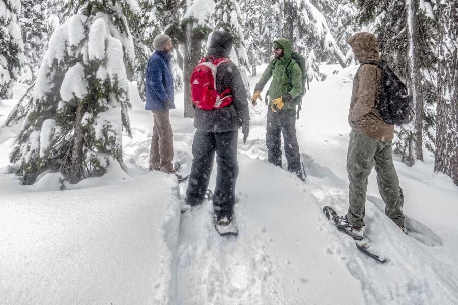 Bend: Half-Day Snowshoe Tour in the Cascade Mountain Range - Choosing between an easy stroll and powder play