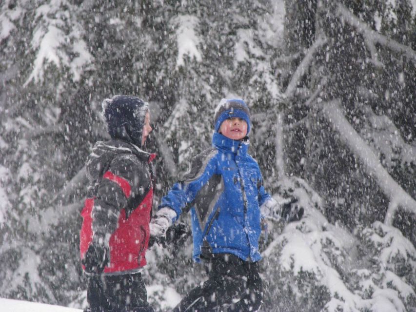 Bend: Half-Day Snowshoe Tour in the Cascade Mountain Range - Who will enjoy this snowshoe trip?