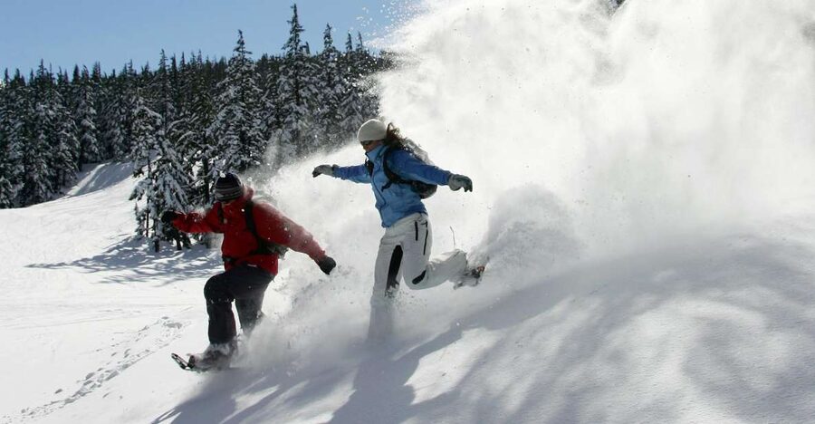Bend: Half-Day Snowshoe Tour in the Cascade Mountain Range - Learning the basics before the trail opens up