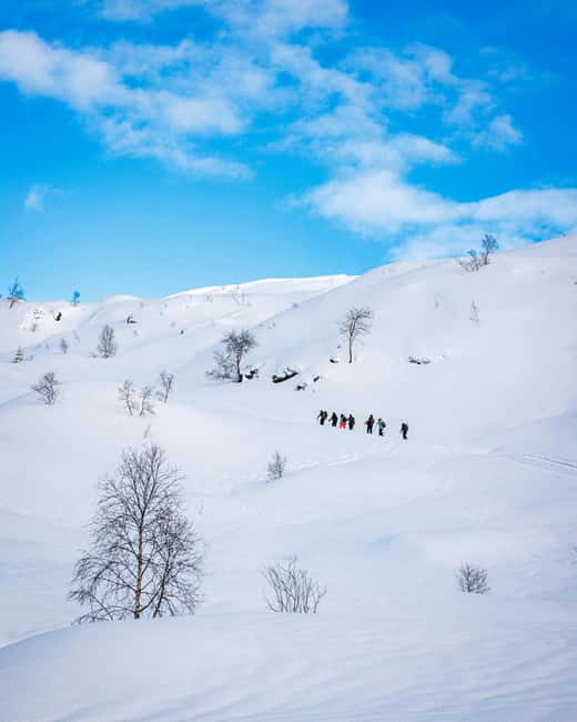 Bergen: Snowshoe Hike - From Bergen harbor to a snowy mountain
