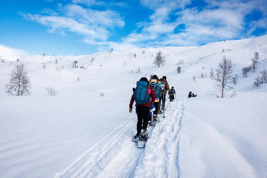 Bergen: Snowshoe Hike - Following the snowy trail for two to three hours