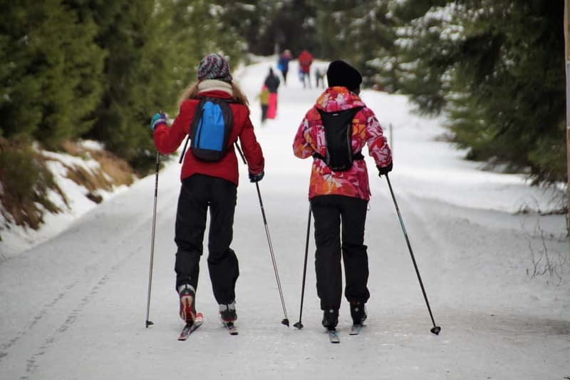 Borovets: 2-Hour Cross Country Ski Taster with Instructor - The people this session suits best