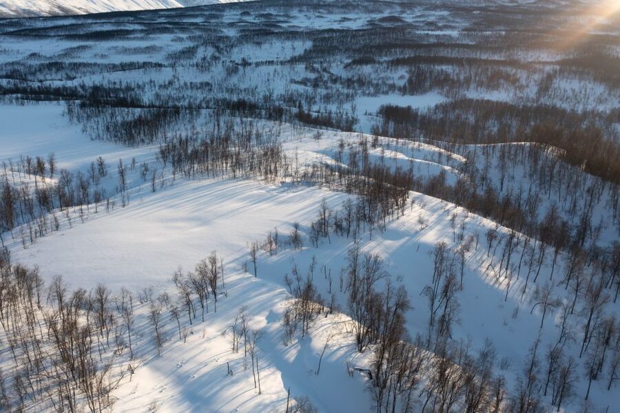 Breivikeidet: Cross-Country Skiing & Husky Visit - Key points to know before you book