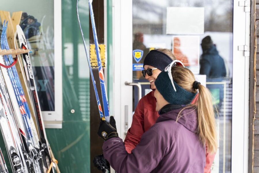 Breivikeidet: Cross-Country Skiing & Husky Visit - Your first ski lesson, including how to fall