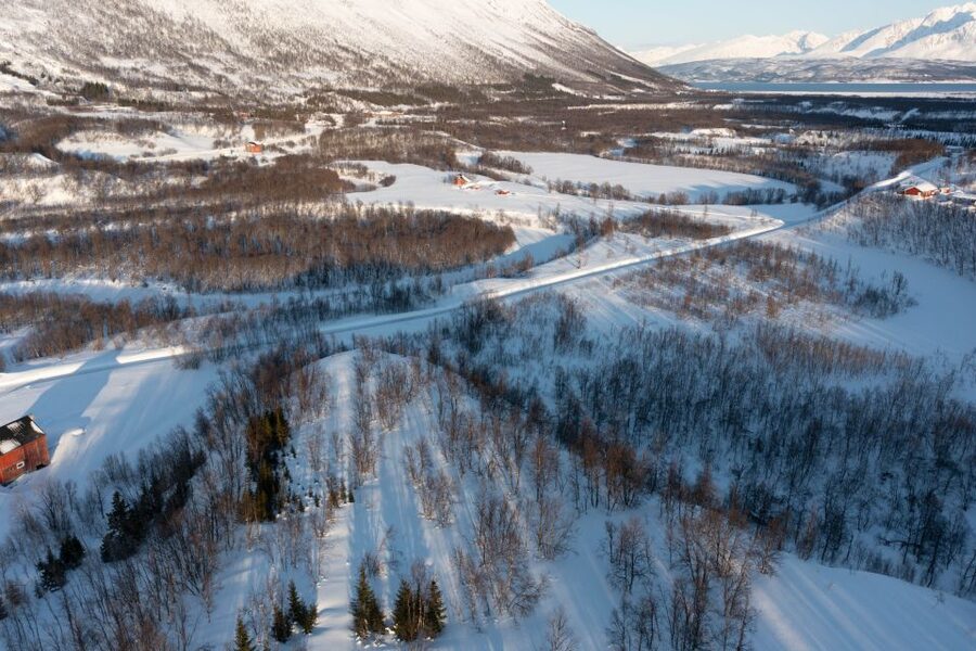 Breivikeidet: Cross-Country Skiing & Husky Visit - Cake, coffee, and a fire in the lavvu