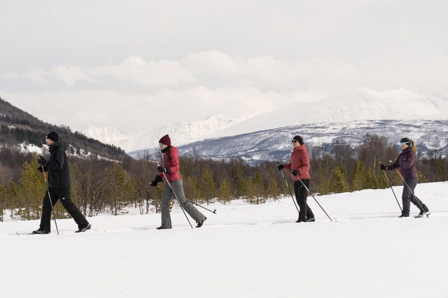 Breivikeidet: Cross-Country Skiing & Husky Visit - Meeting the huskies at the base camp