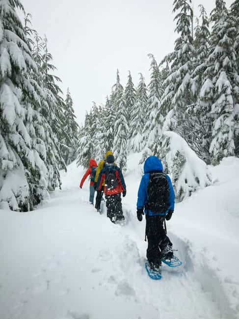 Chamonix: Snowshoe Walk Under the Stars with a Private Guide - A quiet side of Chamonix after dark