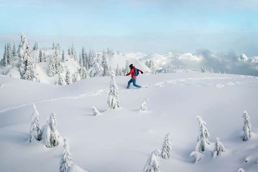 Chamonix: Snowshoe Walk Under the Stars with a Private Guide - What the two-hour walk feels like