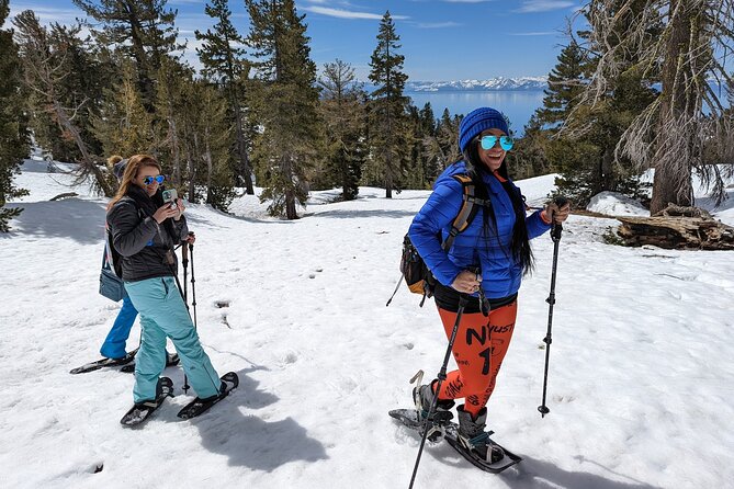 Chickadee Ridge Beginner Snowshoe Activity - Key points to know before booking