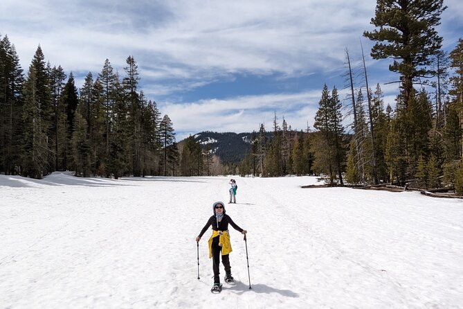 Chickadee Ridge Beginner Snowshoe Activity - The 300-foot climb to Chickadee Ridge