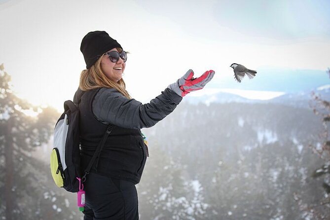 Chickadee Ridge Beginner Snowshoe Activity - Lake Tahoe views from the ridge