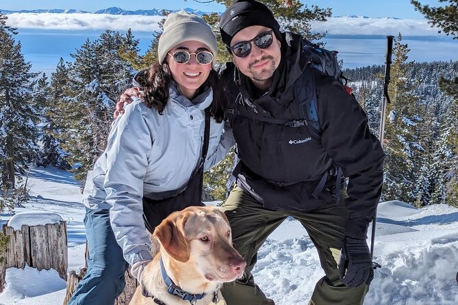 Chickadee Ridge Beginner Snowshoe Activity - Through lodgepole pine forest and open meadows