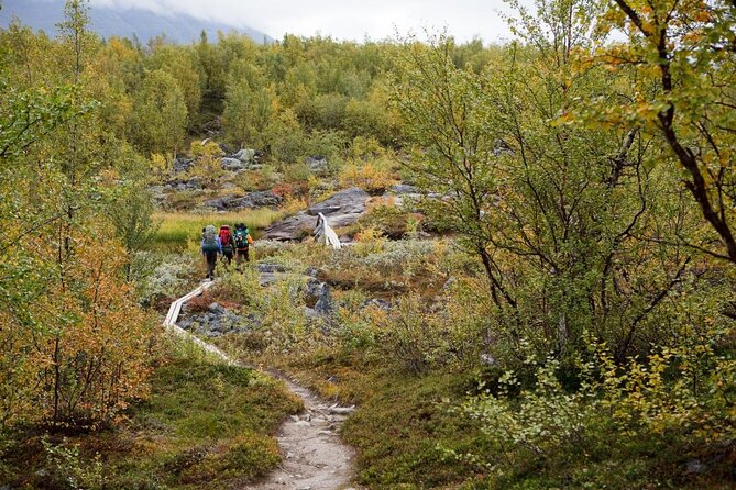 Classic Wilderness Skiing in the Pyhä-Luosto National Park - Key points to know before you book