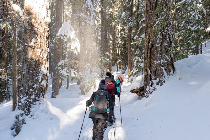 Coast Mountain Backcountry Snowshoe Tours - Key details before you book
