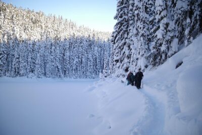 Coast Mountain Backcountry Snowshoe Tours