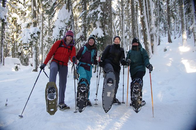 Coast Mountain Backcountry Snowshoe Tours - Who should choose this snowshoe tour