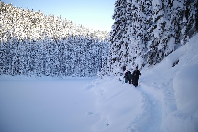 Coast Mountain Backcountry Snowshoe Tours - Joffre Lakes, up to six hours plus driving
