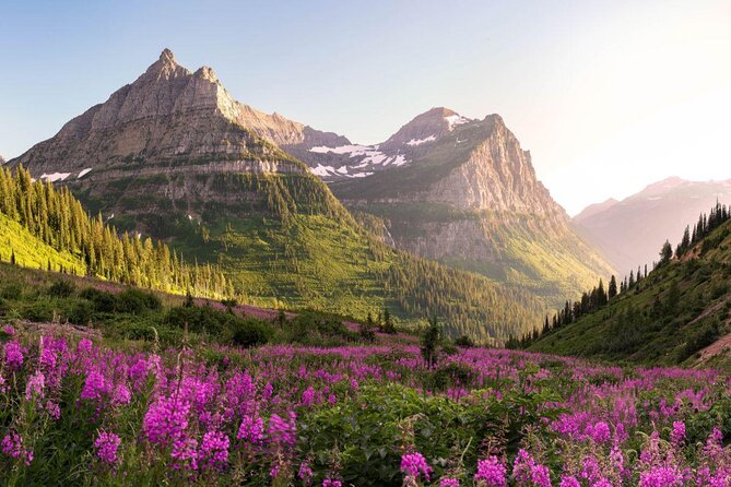 Combo Tour: Driving and Snowshoe Trek of Glacier National Park - Key points to know before you book