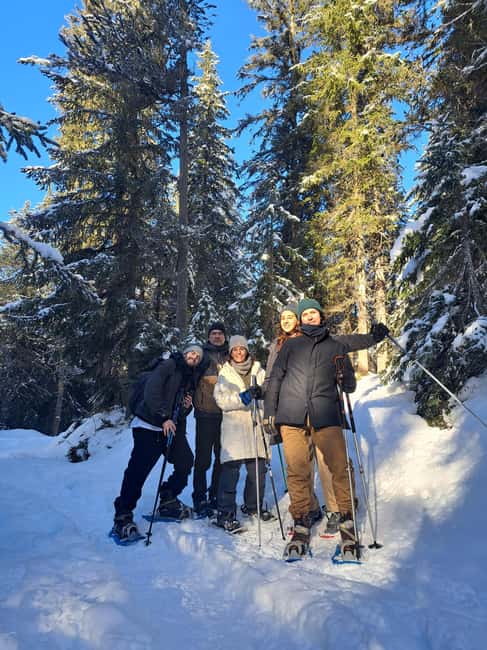 Courchevel: Snowshoeing or Nordic Walking - Following quiet woodland paths