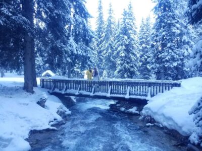 Courchevel: Snowshoeing or Nordic Walking