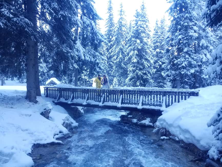 Courchevel: Snowshoeing or Nordic Walking - Meeting Julien near the Belvedere or Plan du Vah