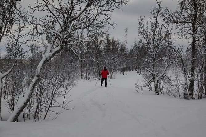 Cross-Country Ski Lesson for Beginners in Tromso - A warm drink and lefse at the right moment