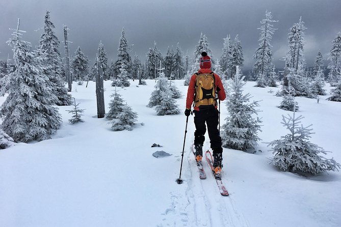 Cross-Country Skiing Guided Tour From Prague - Lunch in Liberec and a taste of Czech food