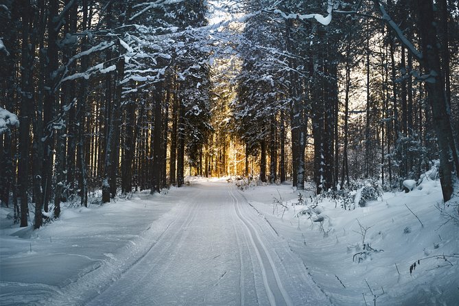 Cross-Country Skiing Guided Tour From Prague - What the $313 price really covers