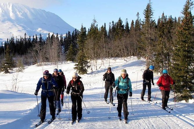 Cross-Country Skiing Guided Tour From Prague - Weather, cancellation, and the practical fine print
