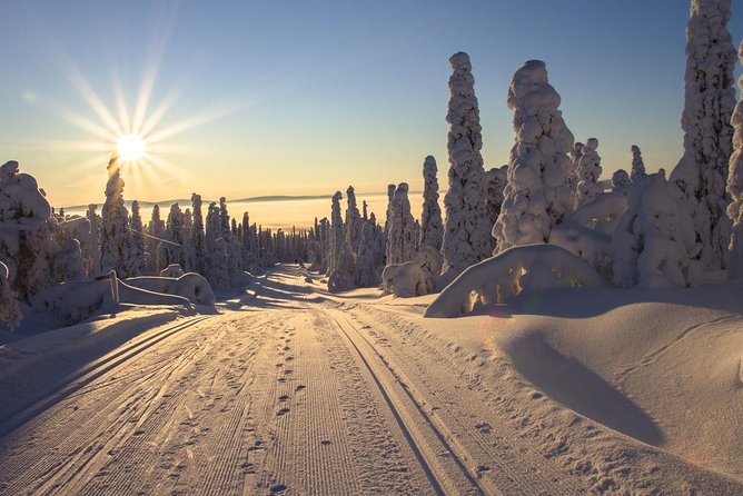 Cross-Country Skiing Guided Tour From Prague - Getting fitted and learning the basics