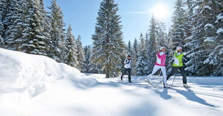 Cross Country Skiing Lessons for Beginners (Feldberg) - Why Feldberg works for a first ski lesson