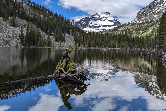 Custom Guided Day Hike in the Bitterroot Mountains - A private day in the Bitterroot National Forest