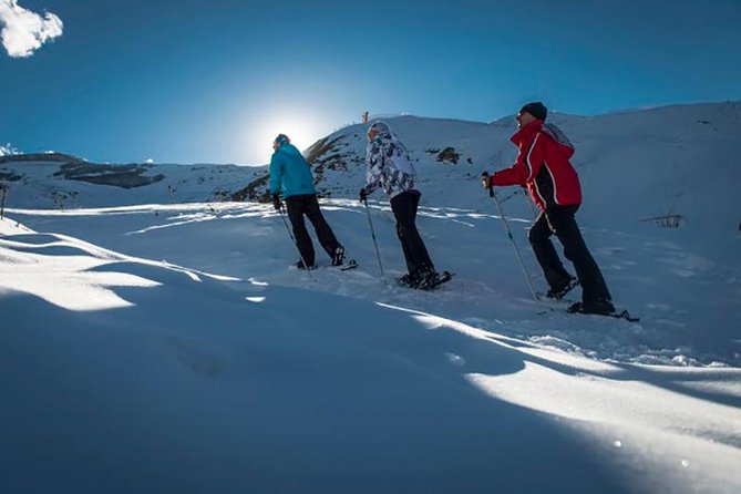 Day tour to Ski Resort to Shahdag - Private tour to Beautiful Nature - Key points to know before you book