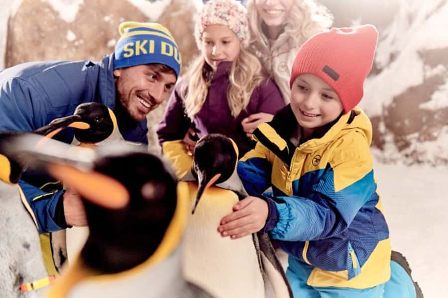 Dubai: Ski Dubai Snow Plus Pass - Penguins are separate, not part of this pass