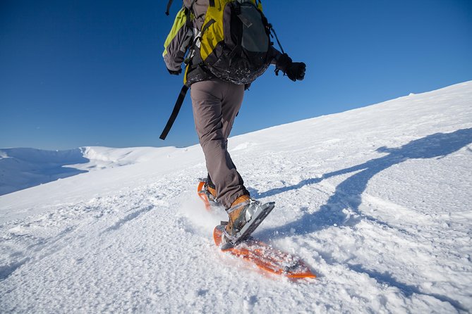 Eco friendly snowshoeing in Scenic Landscape - What this Tromsø outing really offers
