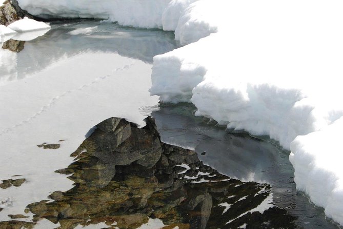 Eco friendly snowshoeing in Scenic Landscape - Wabi Sabi or Magic Ice for the final stop